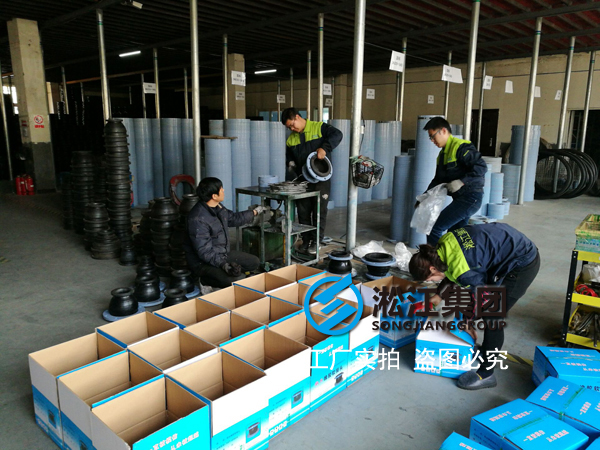 【案例】重慶水上公園項目使用同心異徑橡膠接頭、大小頭