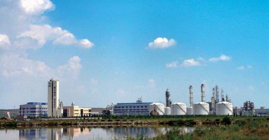 【興安盟博源化學(xué)項(xiàng)目】橡膠接頭合同案例