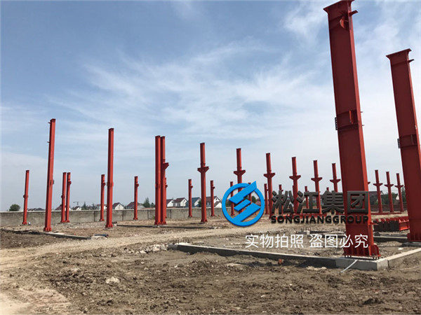 沈陽循環水泵出口使用DN50橡膠避震喉