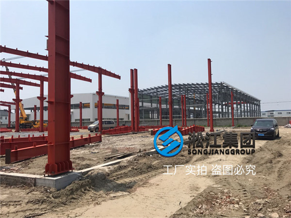 沈陽循環水泵出口使用DN50橡膠避震喉