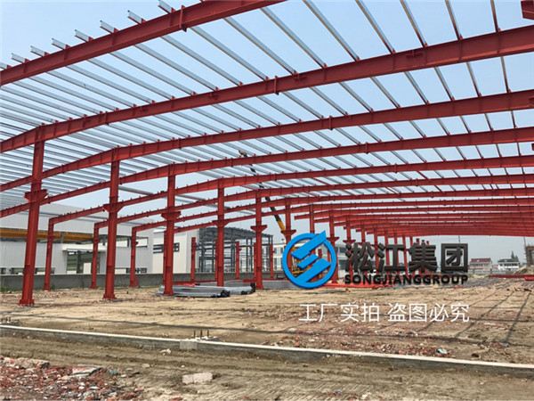 沈陽循環水泵出口使用DN50橡膠避震喉