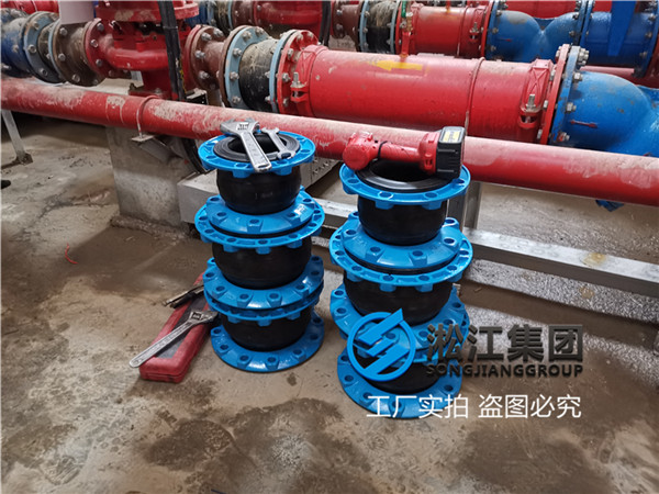 DN125天然橡膠軟接頭